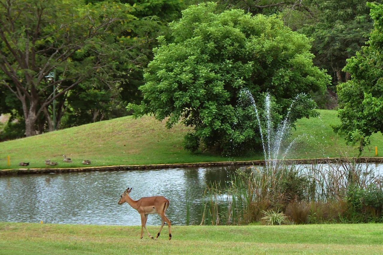 Kruger Park Lodge Unit No. 610B Хейзивю Екстериор снимка